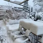 Les Tulipes Gérardmer