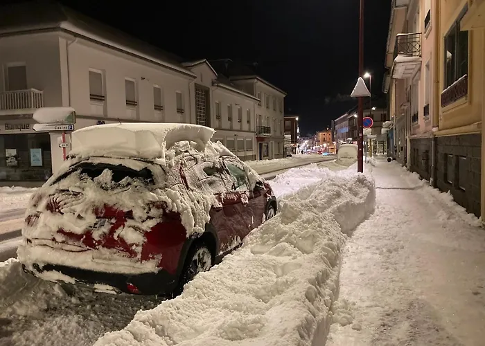 Apartment Les Tulipes *