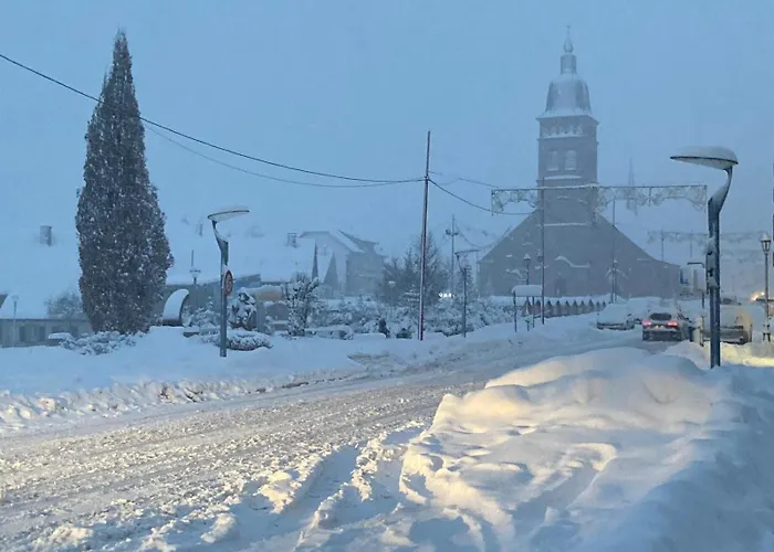 Les Tulipes Apartment