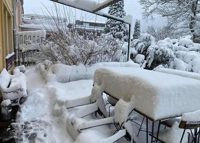 Les Tulipes Gerardmer